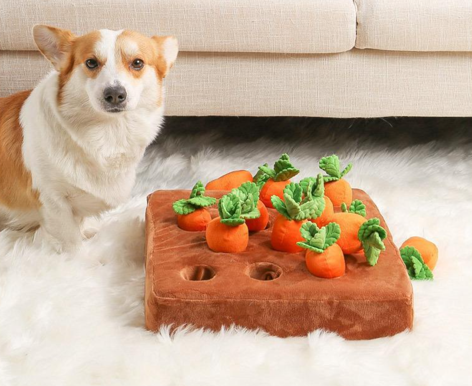 juguetes de granja de zanahorias