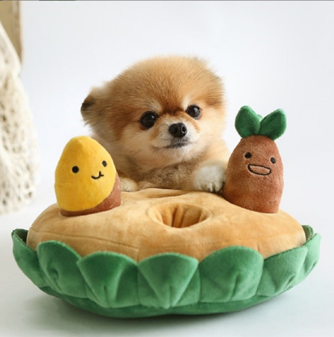 Juguetes coreanos para mascotas, juguetes para perros con chirriador