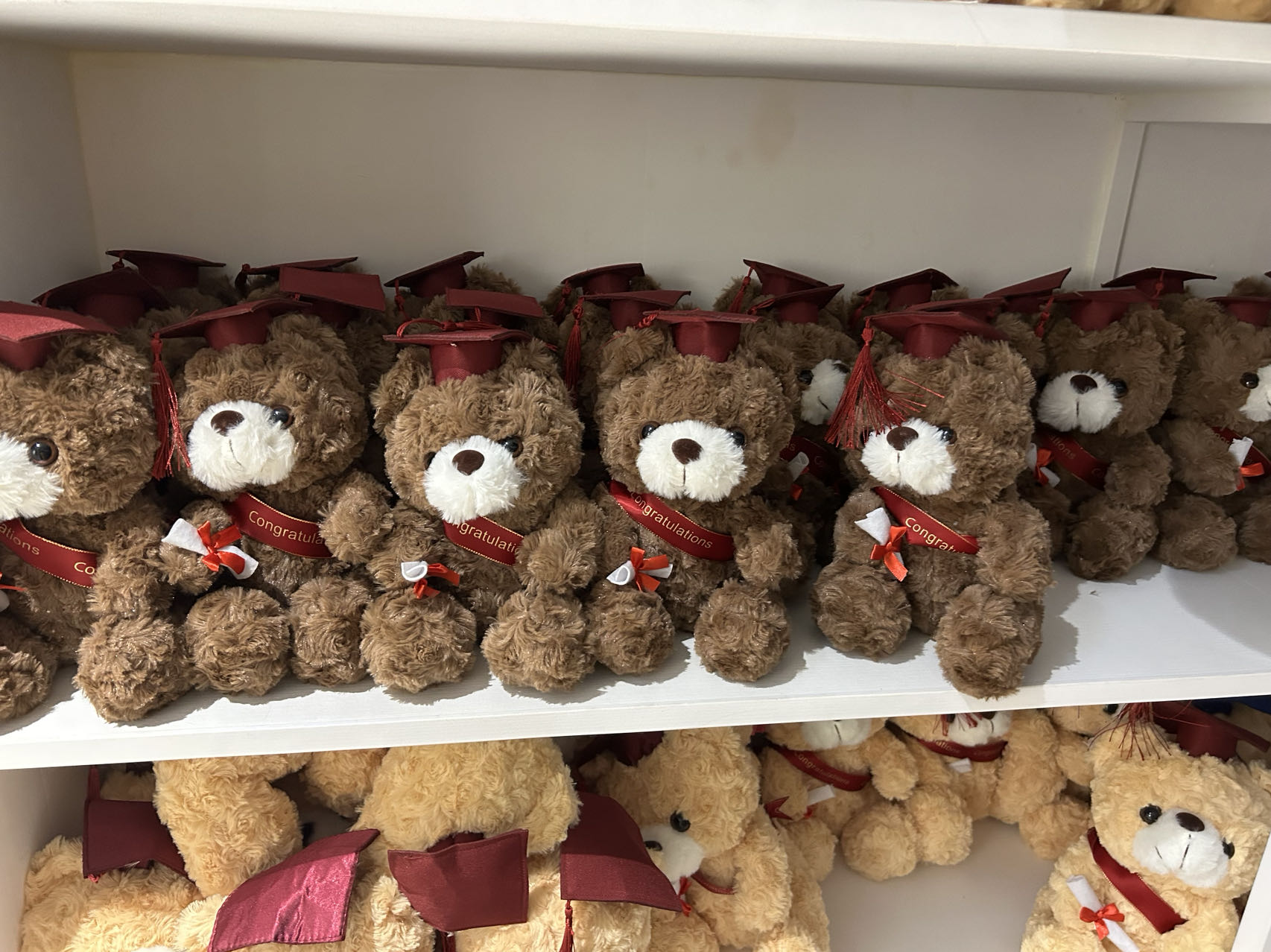 515e397f6ccda84fc2629a06b3b47c4