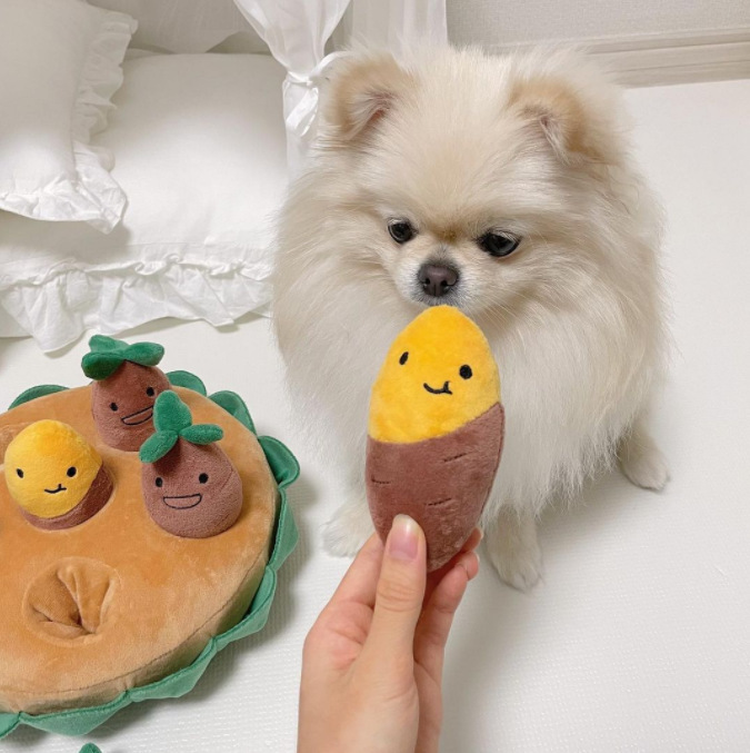 Juguetes coreanos para mascotas, juguetes para perros con chirriador