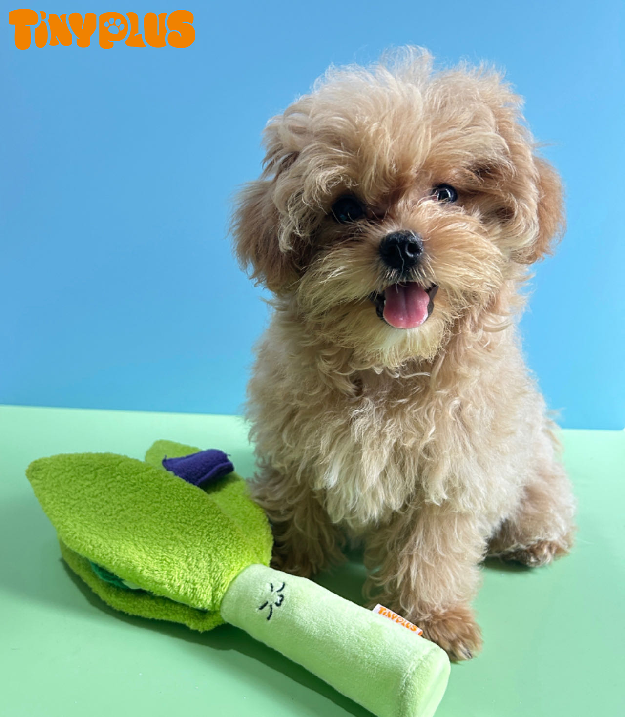 Los juguetes vegetales del animal doméstico de la felpa rellenaron los juguetes chirriantes lindos del perro de la felpa con los juguetes de encargo de la felpa del perro del papel de la arruga