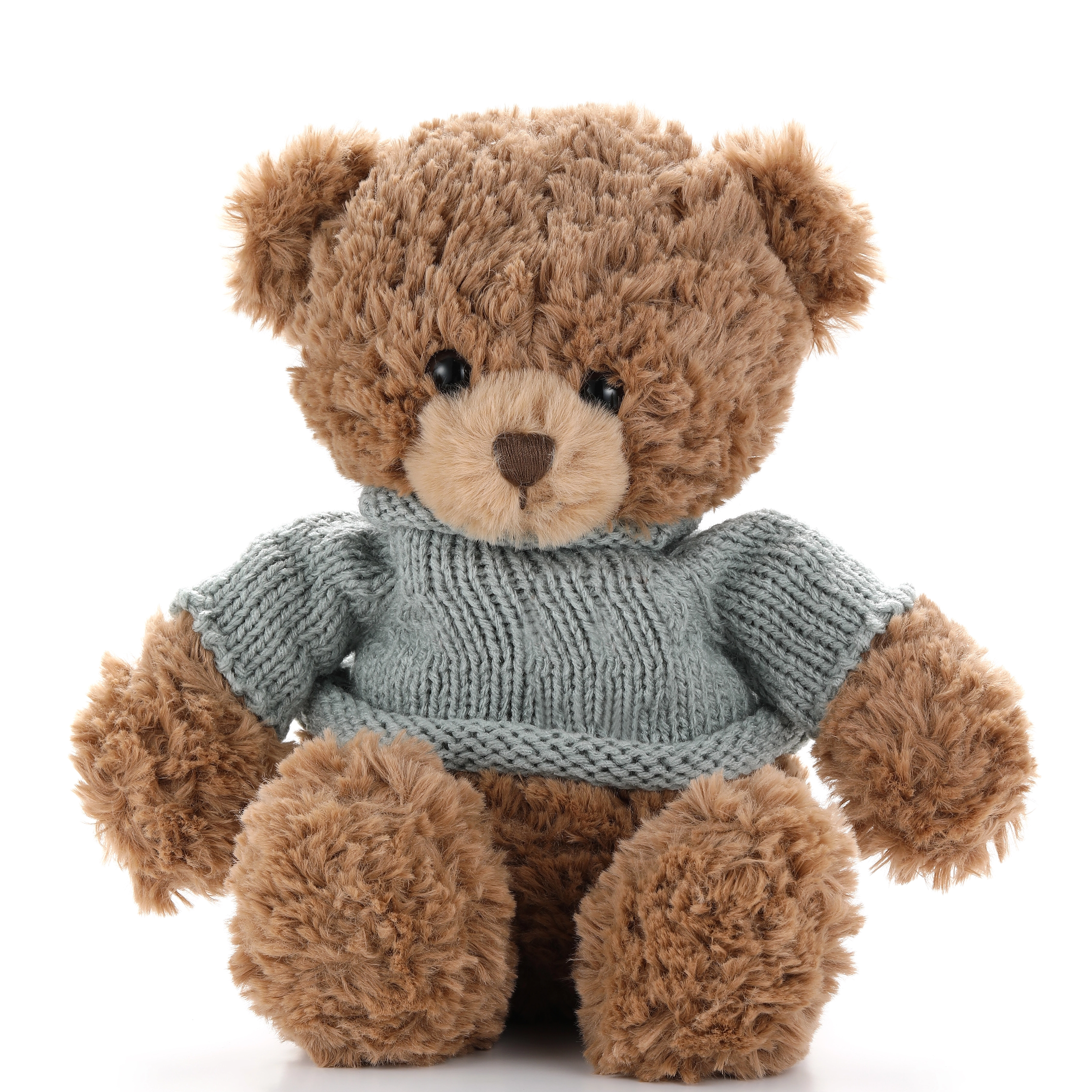 oso con su&eacute;ter